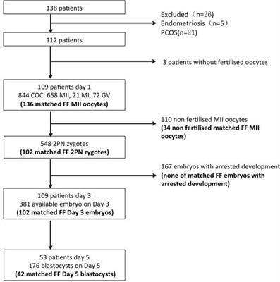 Follicular fluid steroid and gonadotropic hormone levels and mitochondrial function from exosomes predict embryonic development